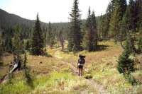Slough Creek Divide trail